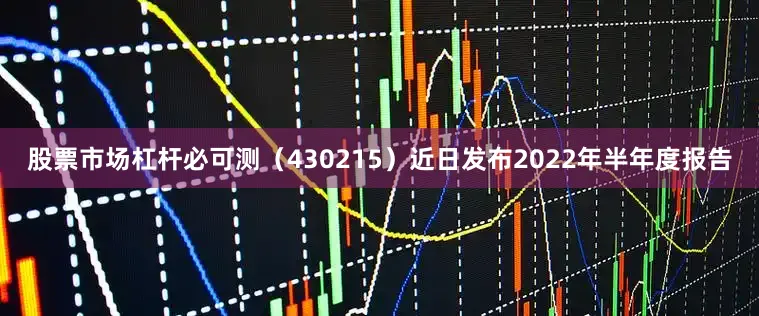 股票市场杠杆必可测（430215）近日发布2022年半年度报告