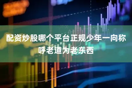 配资炒股哪个平台正规少年一向称呼老道为老东西